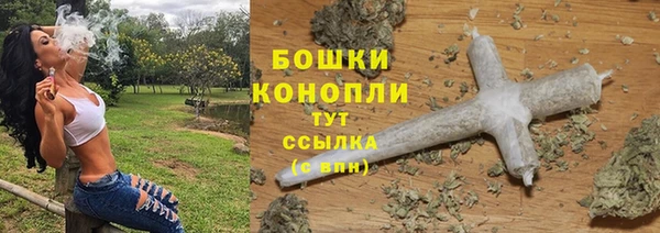 ALPHA PVP Остров
