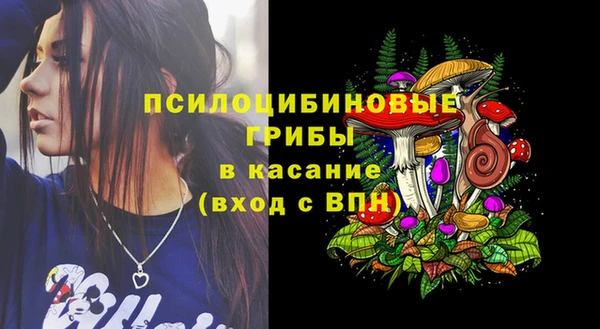 а пвп мука Осинники
