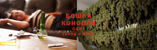 ALPHA PVP Остров
